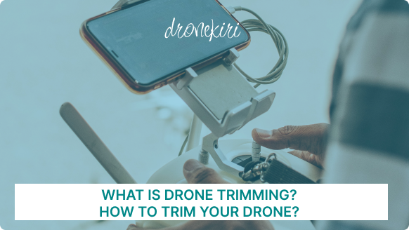 What Is Drone Trimming And Ways to Trim It?