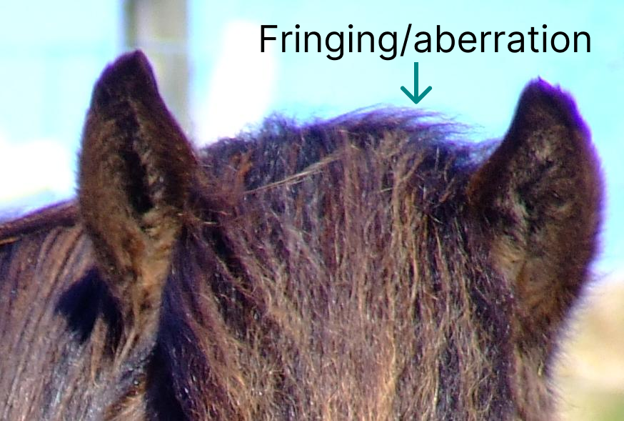 chromatic aberration/ fringes in images