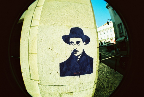 fish eye lens for camera